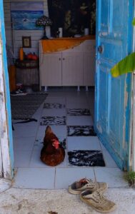 Ιf you dare, come inside…